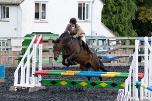 Class 3 -  Fences not above 2'3